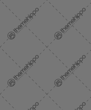 liquid_force_icon_helmet34